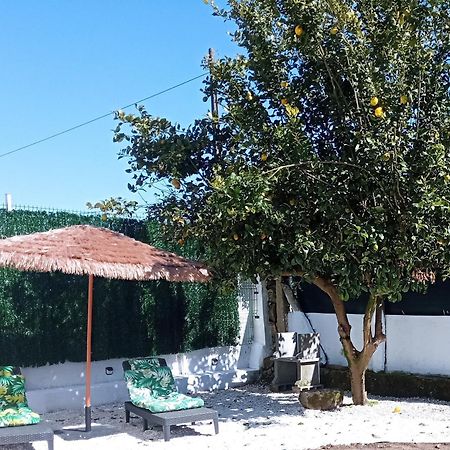 Casa Amelia 1ªp A 50 M Camino De Santiago Villa Padrón Dış mekan fotoğraf