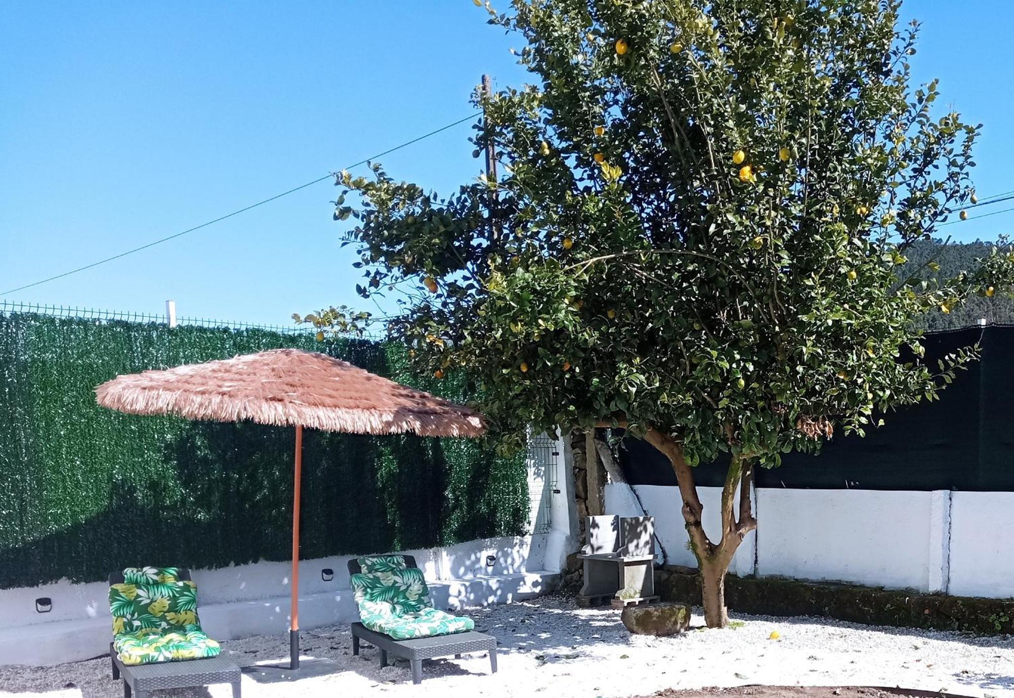 Casa Amelia 1ªp A 50 M Camino De Santiago Villa Padrón Dış mekan fotoğraf